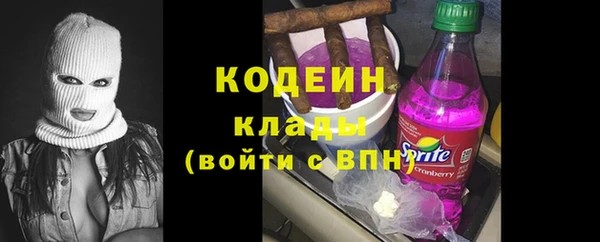 гидра Бородино
