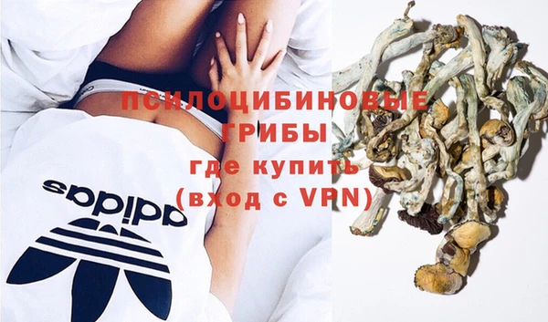 гидра Бородино