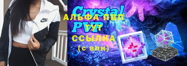 гидра Бородино