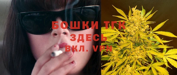 гидра Бородино
