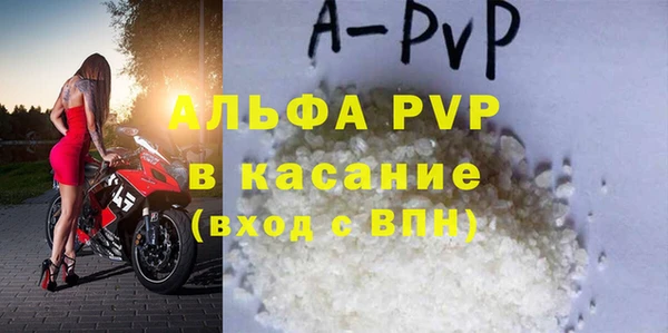 гидра Белокуриха