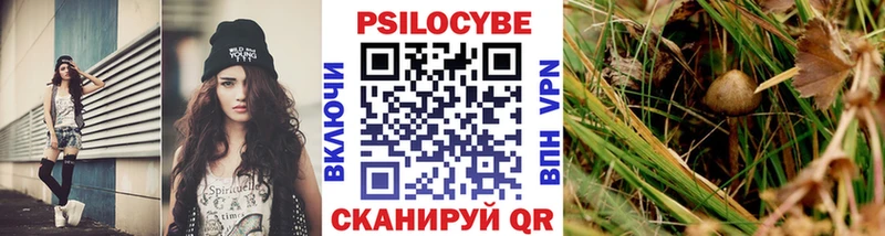 Псилоцибиновые грибы Cubensis  shop состав  Дмитровск 